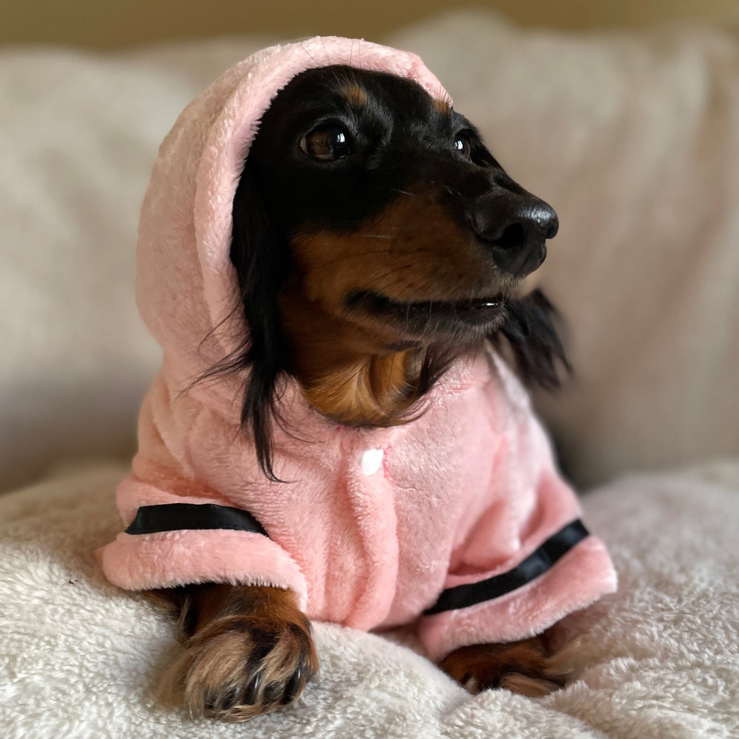 Luxurious Dog Bathrobe