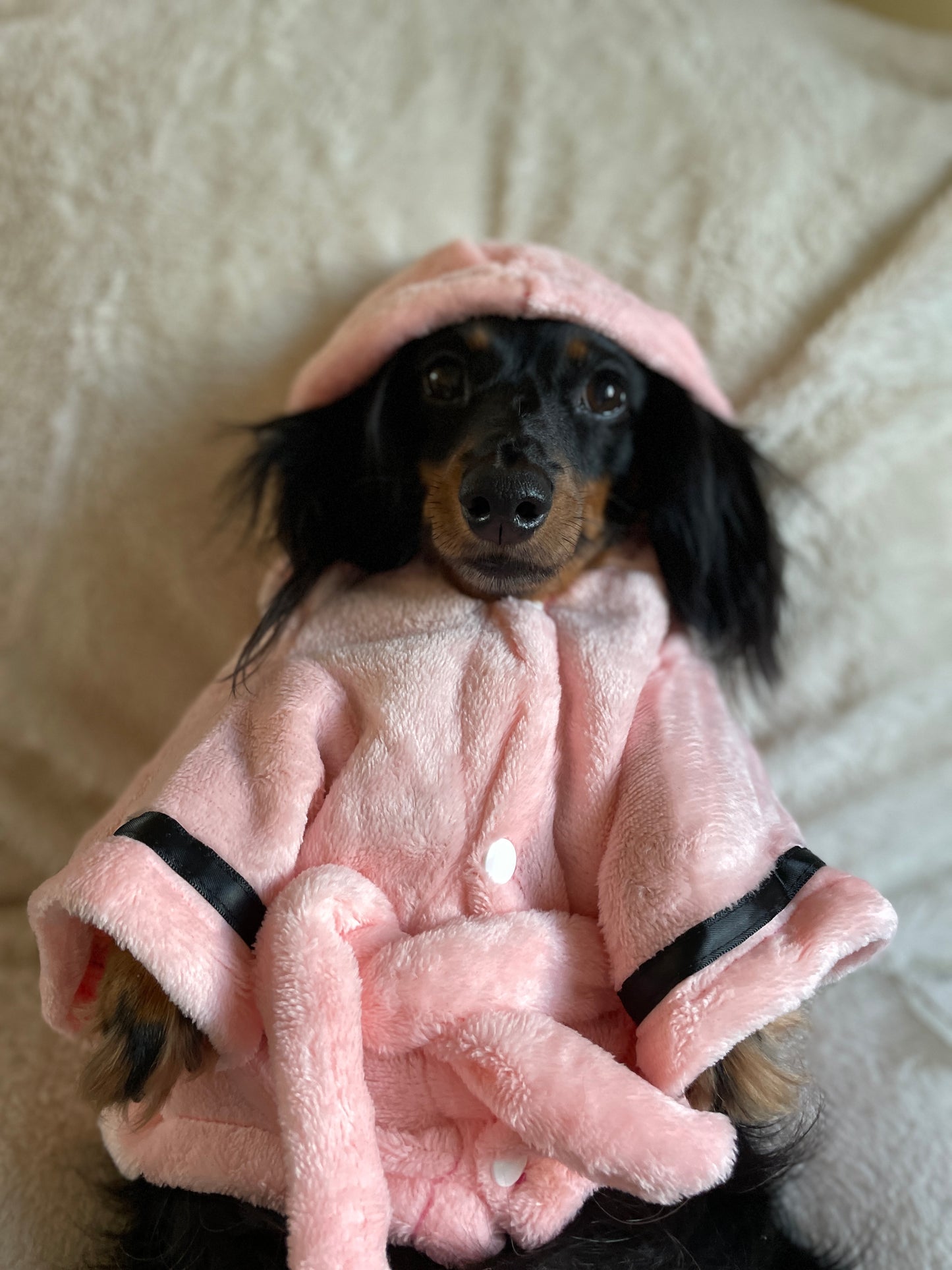 Luxurious Dog Bathrobe