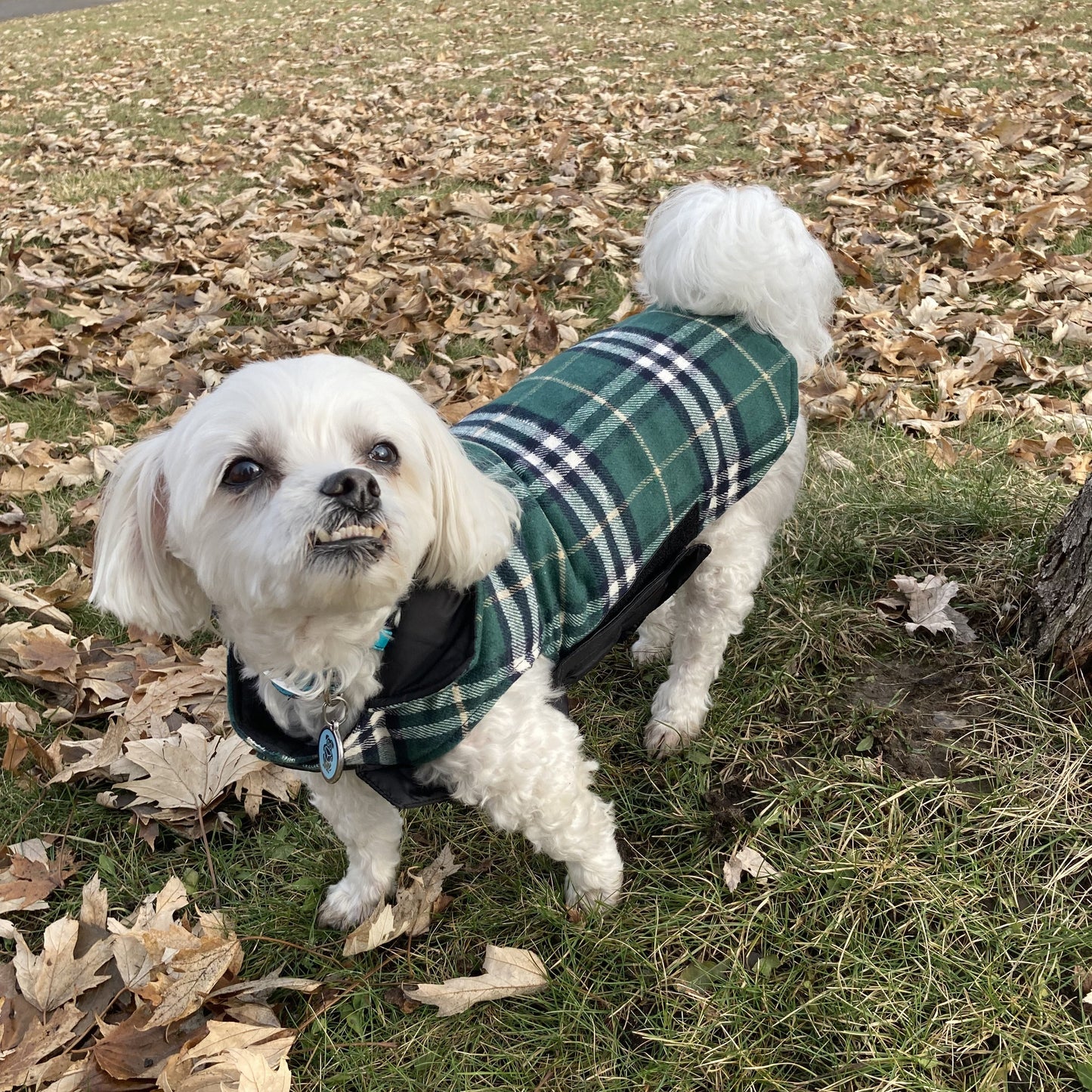 Plaid Reversible Coat