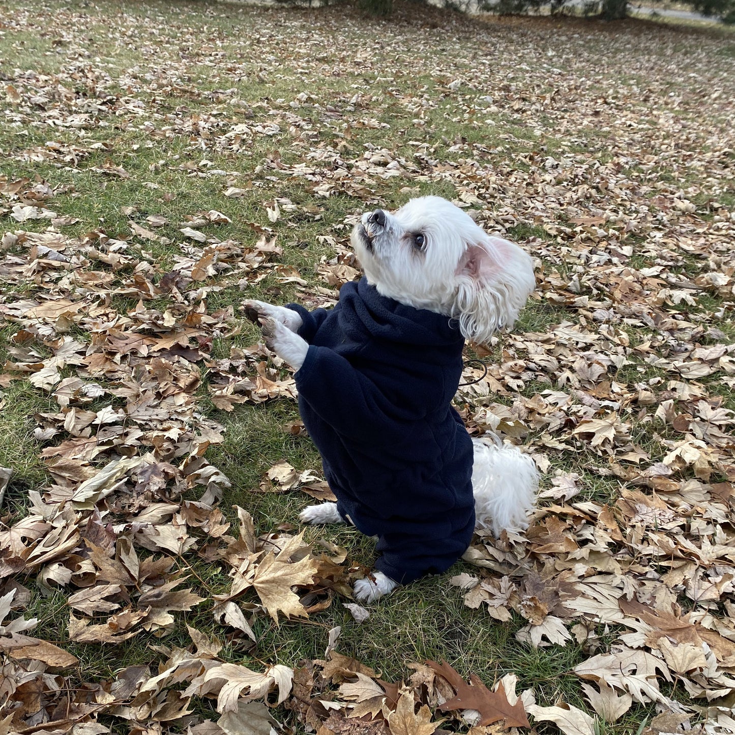 Winter Fleece Coat